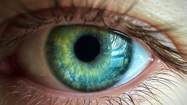 Dmla : 6 conseils essentiels pour bien la prévenir